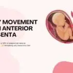Baby Movement with Anterior Placenta