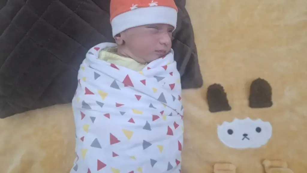 7 Best Baby Wipes for Newborns in 2025 (Tried, Tested & Parent-Approved)