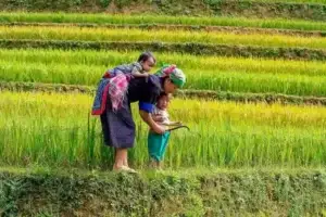 postpartum with a toddler
