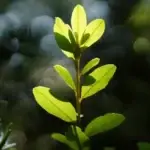 where are baby wipes made