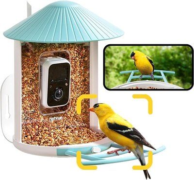 Netvue Birdfy Smart Bird Feeder With Camera